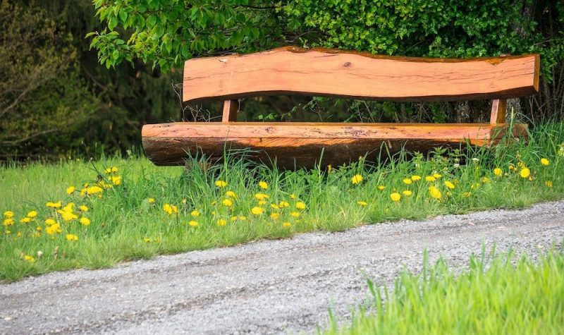 A handmade wooden bench sits by a path amongst grass and dandelion flowers.