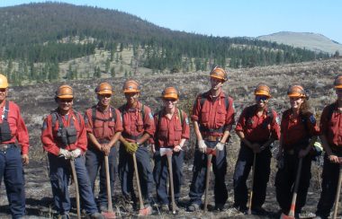 a row of bc wildfire workers holding axes in a clear-cut field.