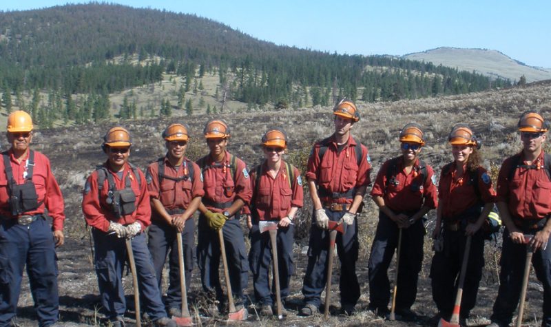 a row of bc wildfire workers holding axes in a clear-cut field.