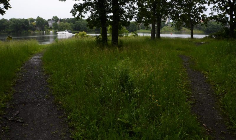 Belle Island, Cataraqui Park. Two gravel paths are surrounded by grass with some trees. The park overlooks the Cataraqui river.