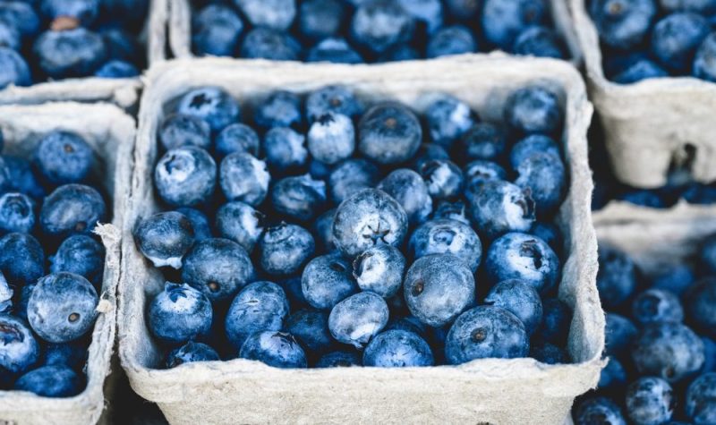 Plusieurs bleuets de couleur bleue dans des pots