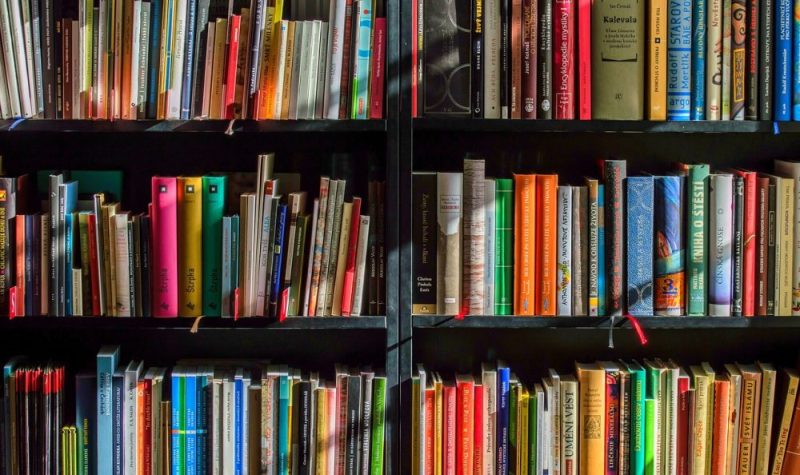 Many colourful books are lined up on dark shelves, the close-up image only showing the books on the shelf illuminated by bright sunlight.