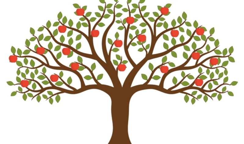 A drawing of a fruit tree. Brown tree trunk with green leaves and red fruits hanging from the tree.