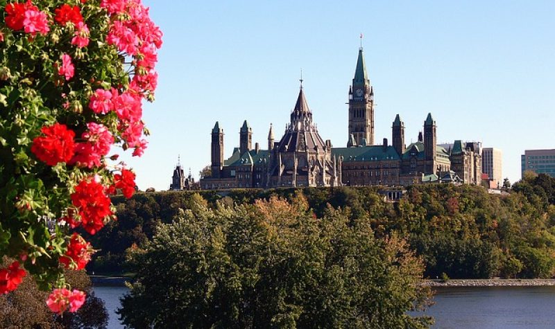 Parlement fédéral à Ottawa. Bâtisse brune avec toitures vertes.
