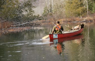 canot-chasse