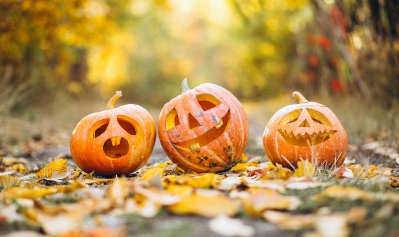 Le Carnaval Halloween du Club optimiste de Bourget se tiendra au Centre communautaire de Bourget le 28 octobre 2023. (Photo : Pixabay)
