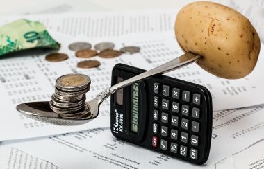 Sur une table jonchée de feuilles et de monnaie, une patate et des pièces de monnaie se tiennent en équilibre sur une calculatrice placée à la verticale.