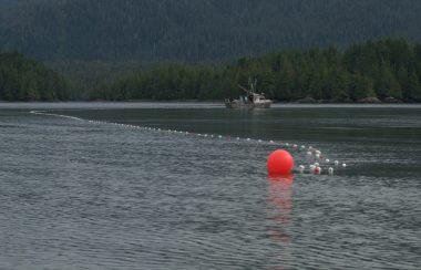 A red bouy is seen in the water off the coast near Prince Rupert. There is a forrested mountain and boat in the distance