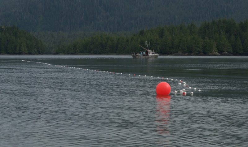 A red bouy is seen in the water off the coast near Prince Rupert. There is a forrested mountain and boat in the distance