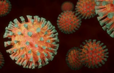 Image du Coronavirus rond orange avec des mini trompettes vertes tout autour