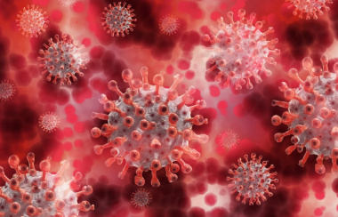 Illustration du nouveau coronavirus
