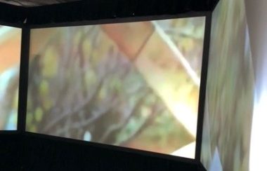 A large panoramic multimedia on a projector screen following in a curvilinear fashion.