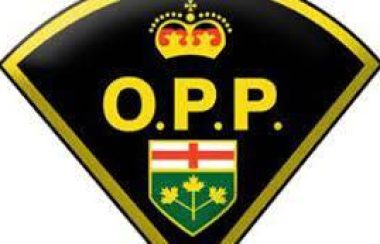 Logo de la OPP