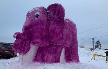 Une sculpture de neige et de glace de 16 pieds de haut représentant un éléphant.