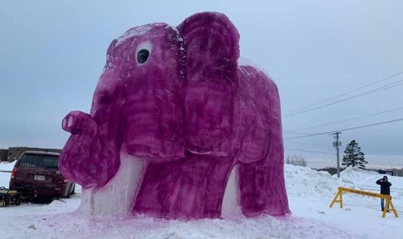 Une sculpture de neige et de glace de 16 pieds de haut représentant un éléphant.
