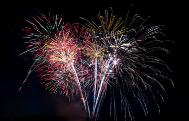 Mutlicoloured fireworks in a night sky