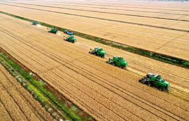 Six machines agricoles vertes en plein travail au milieu de champs immenses