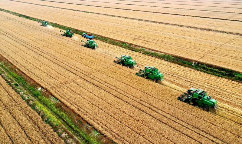 Six machines agricoles vertes en plein travail au milieu de champs immenses