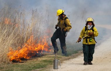 Des pompiers qui luttent contre un feu de broussailles.