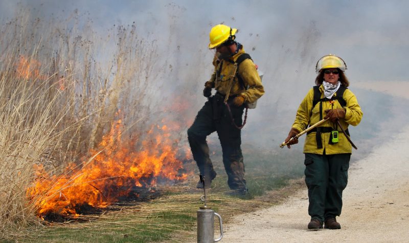 Des pompiers qui luttent contre un feu de broussailles.