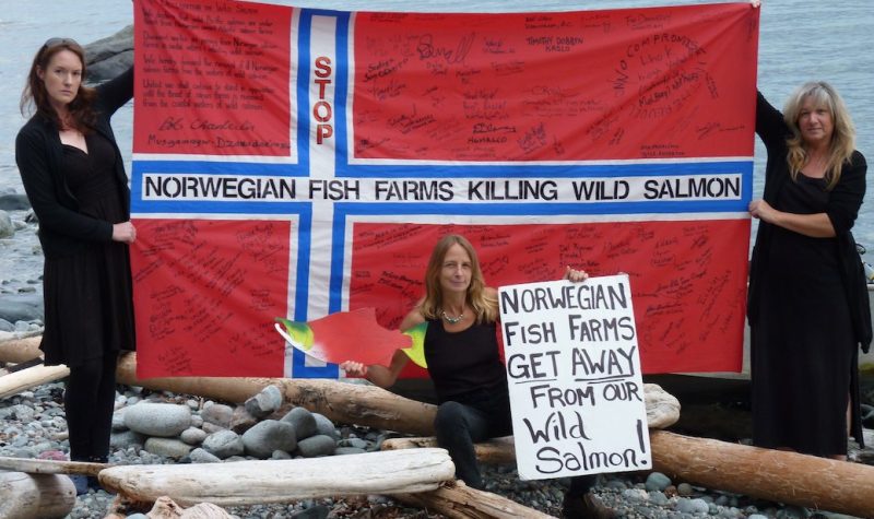 ‘Stop Norwegian fish farms killing wild salmon'
