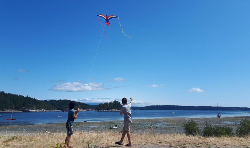 Two children fly a red kite while walking on a grassy field in front of ocean & island, blue sky above