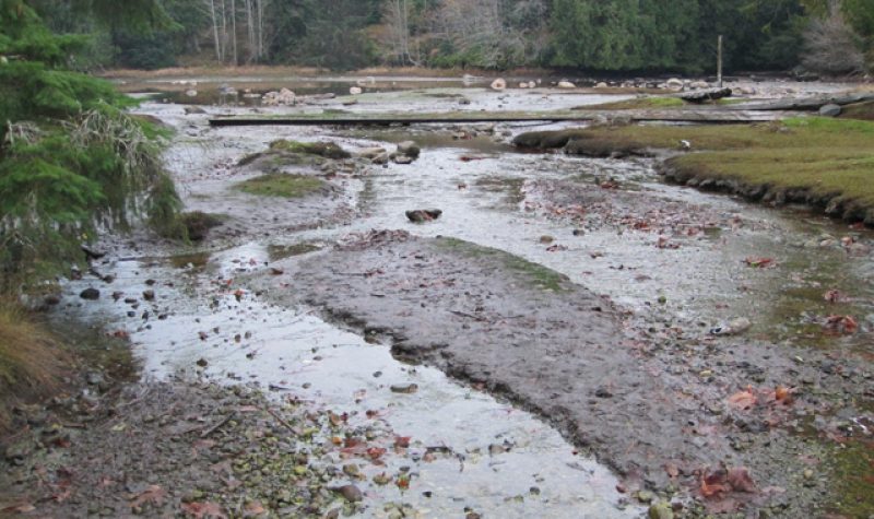 A stream with various pools and rocks is shown in a forest landscape.