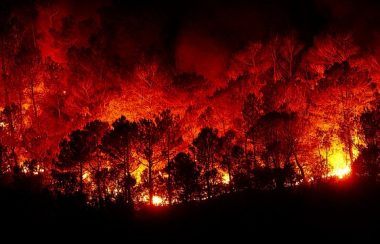 Une multitude de flammes dans un champ provoquant une luminosité rouge