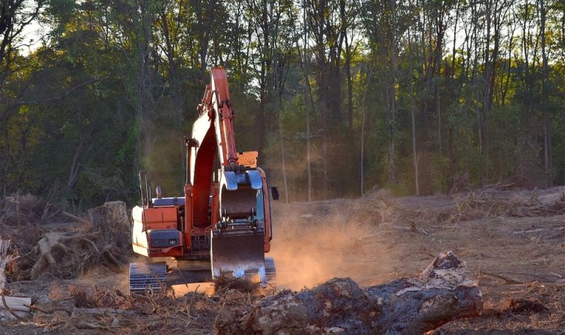 En février 2023, les propriétaires fonciers, les Algonquins de l'Ontario et le groupe Taggart, ont effectué la coupe d'arbres sur leur terrain en préparation à des activités agricoles. (Photo : Pixabay)