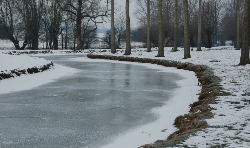 Une rivière gelée en hiver serpente entre des arbres.