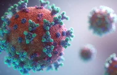 A close-up representation of the COVID-19 virus. It consists of a red textured ball covered by turquoise and blue spiky blooms.