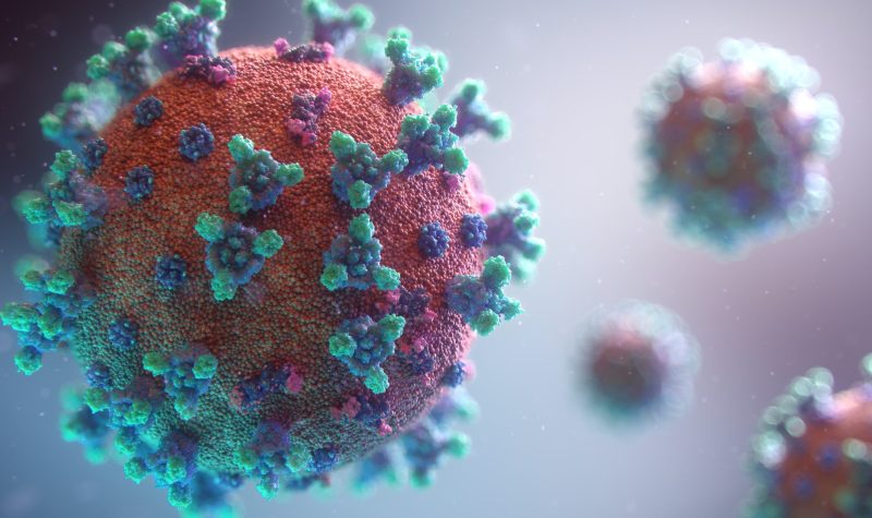 A close-up representation of the COVID-19 virus. It consists of a red textured ball covered by turquoise and blue spiky blooms.