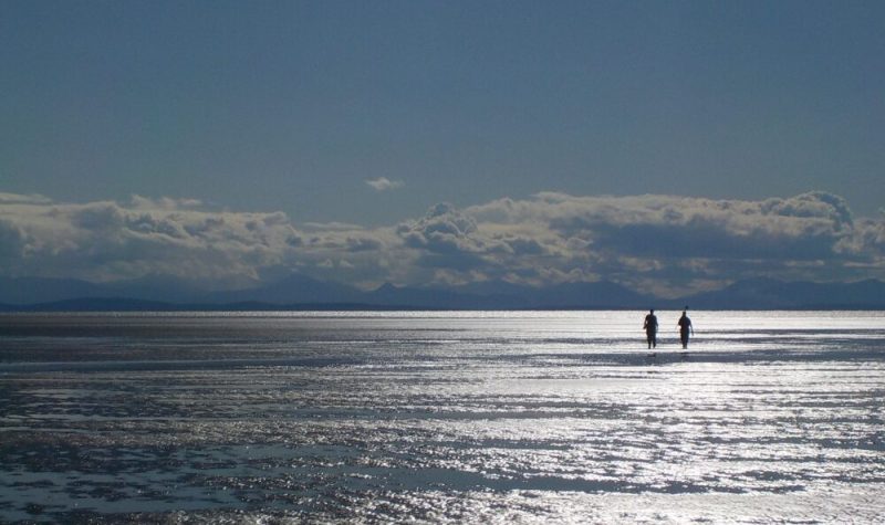 Two people walk in the Pacific Ocean on a sunny day.