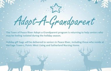 L'affiche de Adopt-a-grandparent