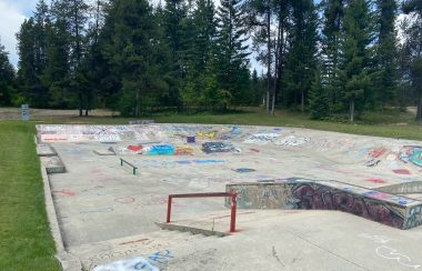 Nakusp skatepark. A mix a of artwork and vandalism. Trees in the background.