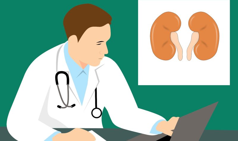 Drawing of a doctor looking at a computer. Green background. In the top left of the picture, a drawing of 2 kidneys appears.