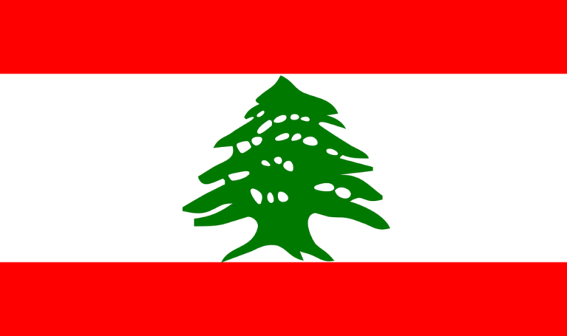 Le drapeau du Liban, deux bandes rouges horizontales avec une bande balnche au centre et un cèdre vert au centre