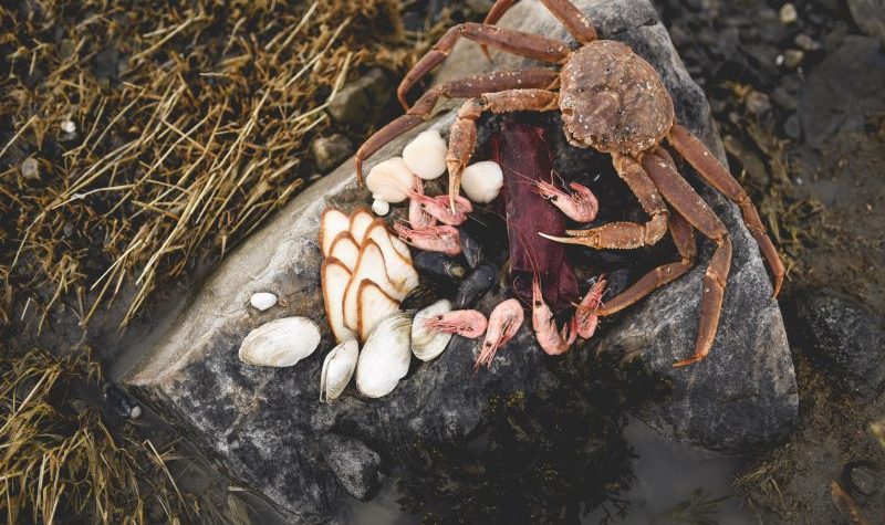 Le collectif Manger le Saint-Laurent veut développer l’appétit des Québécois pour les produits marins locaux. – Photo tirée de la page Facebook Manger le Saint-Laurent