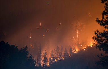 A mountain side is engulfed in flames and smoke as trees burn during a forest fire