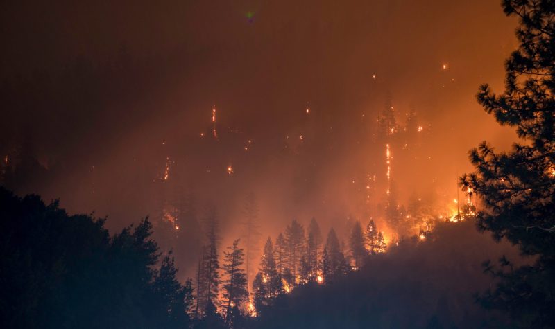 A mountain side is engulfed in flames and smoke as trees burn during a forest fire