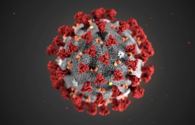 miinfo-coronavirus-modele-cdc-1