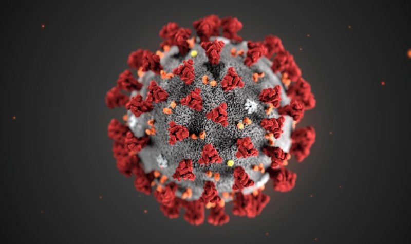 miinfo-coronavirus-modele-cdc-12