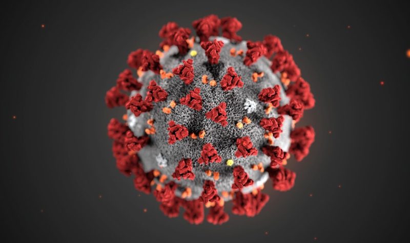 miinfo-coronavirus-modele-cdc
