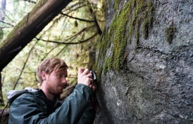 A young man takes a photo of moss growing on a large rock.