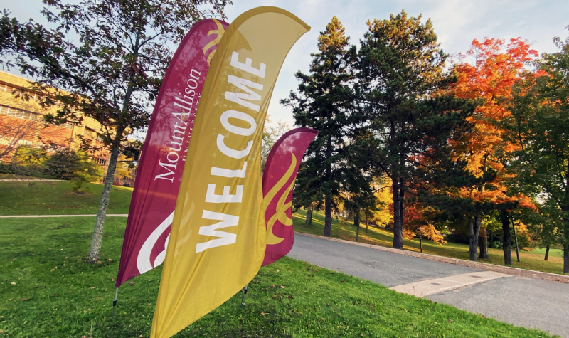Mount Allison's red and yellow welcome flags on a lawn at the university. There are trees in the background.