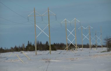 Une ligne de haute tension sur un territoire enneigé. Une petite rangée de conifères au loin.