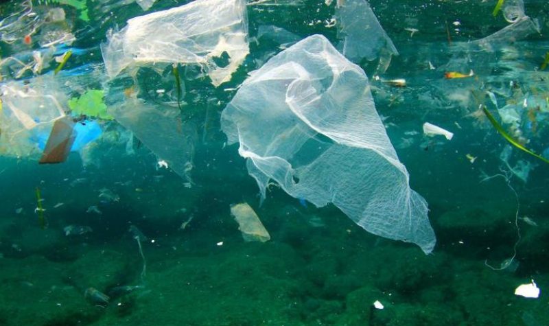 Chunks of plastic float in the ocean.