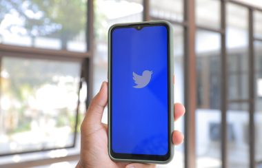 a hand holding a smartphone showing the bue and white twitter logo, against a light background