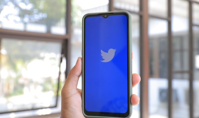 a hand holding a smartphone showing the bue and white twitter logo, against a light background