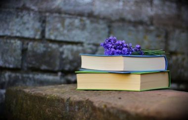 Deux livres avec fleurs violettes sur une roche en avant d'un mur en briques.